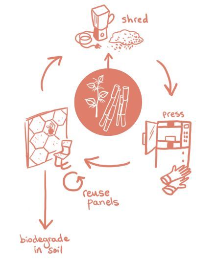 Illustratie Veerle Roest (WhyKnot)